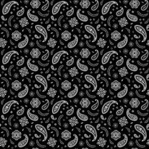 All Over Paisley Bandana Imported 100 Cotton 12 pieces Black 22 x 22