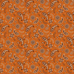All Over Paisley Bandana Imported 100 22X22, 12 Pieces, Burnt Orange Rust