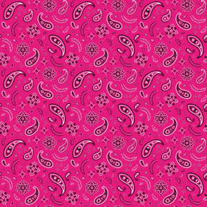 All Over Paisley Bandana Imported 100 22X22, 12 Pieces, Hot Pink