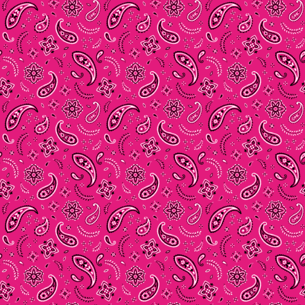 12 pieces, All Over Paisley Bandana Imported 100% Cotton, Hot Pink, 22" x 22"