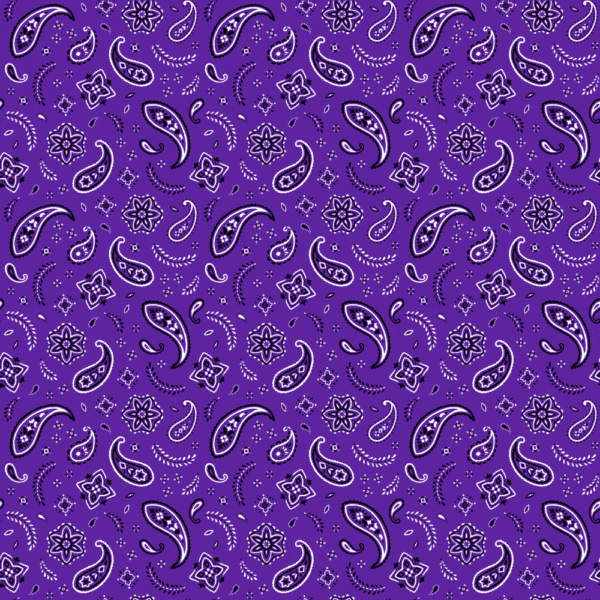 12 pieces, All Over Paisley Bandana Imported 100% Cotton, Purple / Grape, 22" x 22"