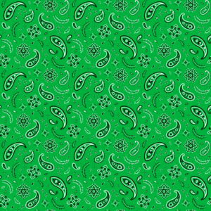 All Over Paisley Bandana Imported 100 22X22, 12 Pieces, Kelly Green
