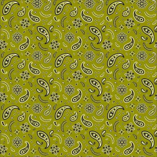 12 pieces, All Over Paisley Bandana Imported 100% Cotton, Olive Green, 22" x 22"
