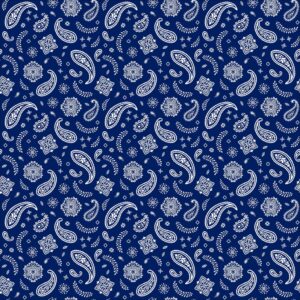 All Over Paisley Bandana Imported 100 22X22, 600Pcs/Case, Navy Blue