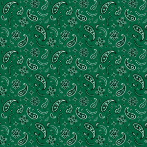 All Over Paisley Bandana Imported 100 22X22, 12 Pieces, Hunter Green