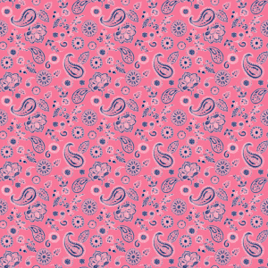 Floral Paisley Bandana Imported 100 22X22, 12 Pieces, Pink