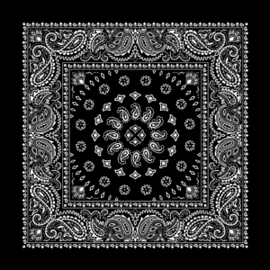 Square Burst Paisley Bandana Imported 100 22X22, 600Pcs/Case, Black
