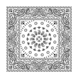Square Burst Paisley Bandana Imported 100 22X22, 600Pcs/Case, White