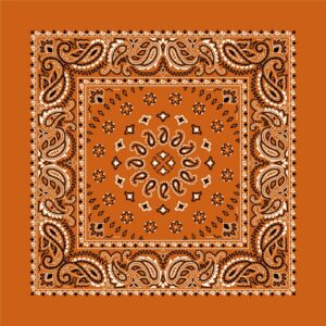 Square Burst Paisley Bandana Imported 100 22X22, 600Pcs/Case, Burnt Orange Rust