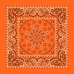 Square Burst Paisley Bandana Imported 100 22X22, 1 Piece, Orange