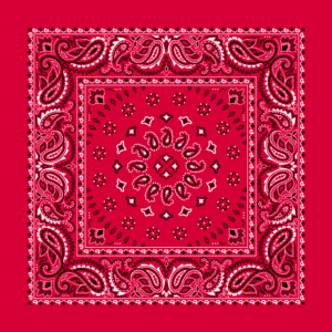 Square Burst Paisley Bandana Imported 100 22X22, 12 Pieces, Red