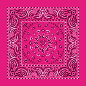 Square Burst Paisley Bandana Imported 100 22X22, 12 Pieces, Hot Pink