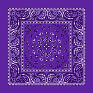 Square Burst Paisley Bandana Imported 100 22X22, 12 Pieces, Purple / Grape