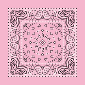 Square Burst Paisley Bandana Imported 100 22X22, 12 Pieces, Light Pink