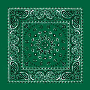 Square Burst Paisley Bandana Imported 100 22X22, 600Pcs/Case, Hunter Green