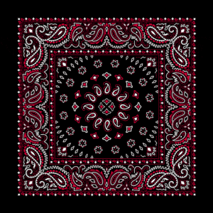 Square Burst Paisley Bandana Imported 100 22X22, 600Pcs/Case, Black With Red
