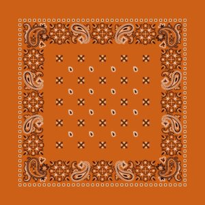 Square Paisley Bandana Imported, 22X22, 1 Piece, Burnt Orange