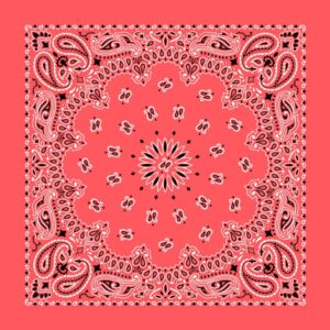 Western Paisley Bandana - Made In Usa , 22X22, 12 Pieces, Honeysuckle