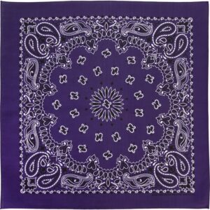 Western Paisley Bandana - Made In Usa , 22X22, 600Pcs/Case, Purple / Grape