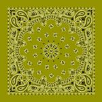 12 pieces, Western Paisley Bandana - Made in USA 100% Cotton, Olive Green, 22" x 22"