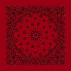 Cm Western Paisley Bandana, Imported, 27X27, 1 Piece, Black On Red