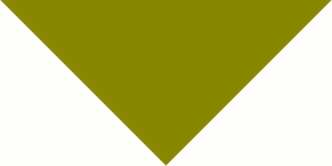 Pet Triangle Solid Bandana, 14X 20X 14, 12Pcs, Olive Green,