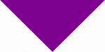 Pet Triangle Solid Bandana, 14X 20X 14, 12Pcs, Grape ,  Purple,