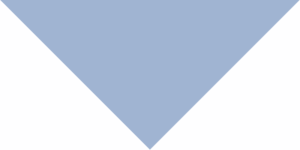 Pet Triangle Solid Bandana, 18X 25X 18, 600Pcs, Light Blue,