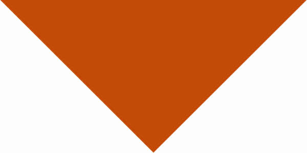 Pet Triangle Solid Bandana, 27X 38X 27, 1Pc, Burnt Orange Rust,