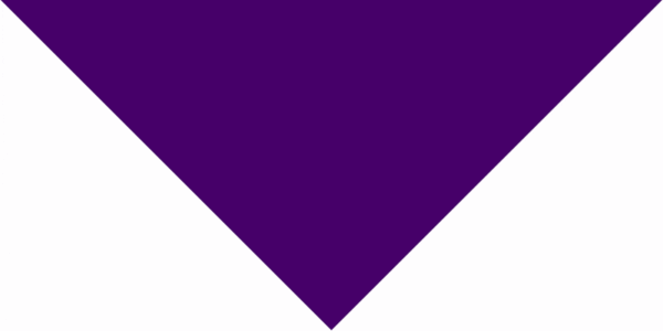 Pet Triangle Solid Bandana, 27X 38X 27, 600Pcs, Purple , Grape,