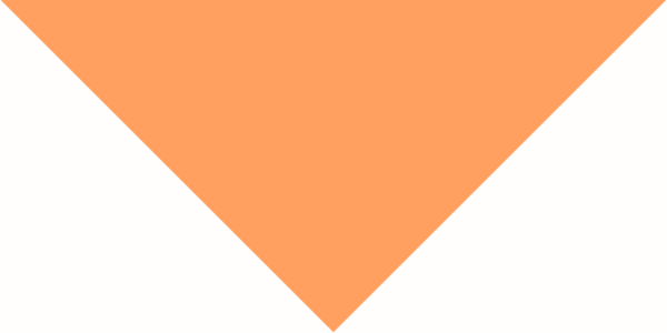 Pet Triangle Solid Bandana, 27X 38X 27, 12Pcs, Peach,