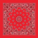 600pcs/Case, Western Paisley Bandana - Made in USA 100% Cotton, Red, 22" x 22"