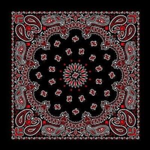 Western Paisley Bandana - Made In Usa , 22X22, 12 Pieces, Black And Red Ss