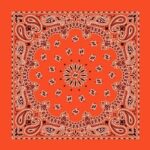 12 pieces, CM Western Paisley Bandanas in Bulk Imported 100% cotton, Orange, 22" x 22"