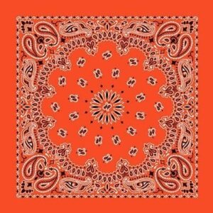 Cm Western Paisley Bandana, Imported, 22X22, 12 Pieces, Orange