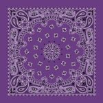 CM Western Paisley Bandanas in Bulk Imported 100% cotton