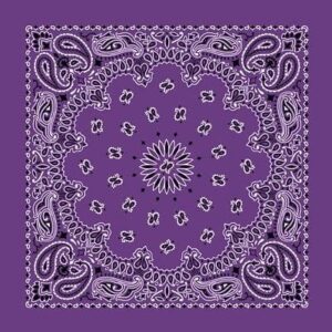 Cm Western Paisley Bandana, Imported, 22X22, 600Pcs/Case, Lavender