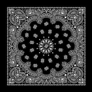 Western Paisley Bandana - Made In Usa , 22X22, 12 Pieces, Black