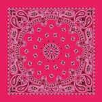 600pcs/Case, CM Western Paisley Bandanas in Bulk Imported 100% cotton, Hot Pink, 22" x 22"