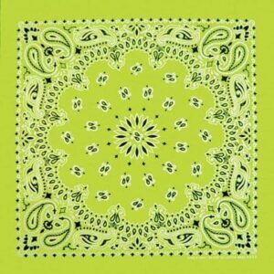 Cm Western Paisley Bandana, Imported, 22X22, 12 Pieces, Neon Green
