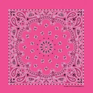 Western Paisley Bandana - Made In Usa , 22X22, 1 Piece, Fuchsia