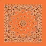 600pcs/Case, Western Paisley Bandana - Made in USA 100% Cotton, Orange, 22" x 22"