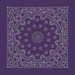 600pcs/Case, Western Paisley Bandana - Made in USA 100% Cotton, Grape / Purple / Plum, 22" x 22"