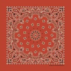 Western Paisley Bandana - Made In Usa , 22X22, 12 Pieces, Terracotta