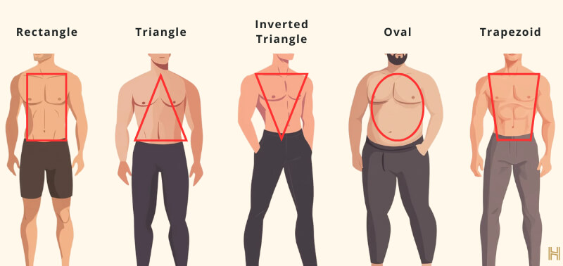 Fashion for Different Body Types: T-Shirts, Shirts, Hoodies & Jackets