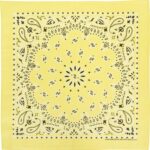 CM Western Paisley Bandanas in Bulk Imported 100% cotton