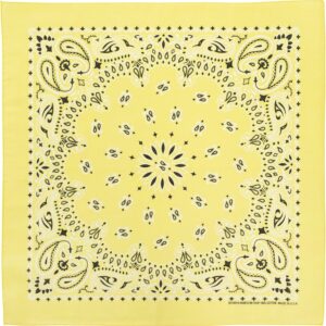 CM Western Paisley Bandanas in Bulk Imported 100% cotton
