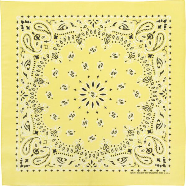 CM Western Paisley Bandanas in Bulk Imported 100% cotton