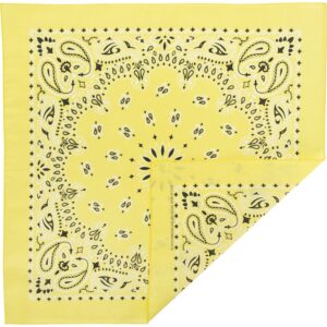Western Paisley Bandana - Made in USA 100% Cotton