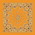 CM Western Paisley Bandanas in Bulk Imported 100% cotton